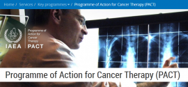 expertos para apoyar el desarrollo de NCCP (Descripción del trabajo: tubería para expertos nacionales en planificación del control del cáncer (PIP-TC-001) (taleo.net))